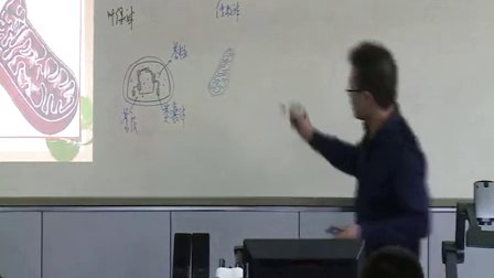 2015年江苏省高中生物优课评比《细胞器》教学视频,王磊