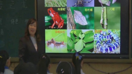 小学科学青岛版六上《变色龙》山东矫洁