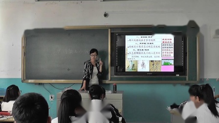 岳麓版高中历史必修三第二单元第9课《诗歌与小说》课堂教学视频实录-省级优课