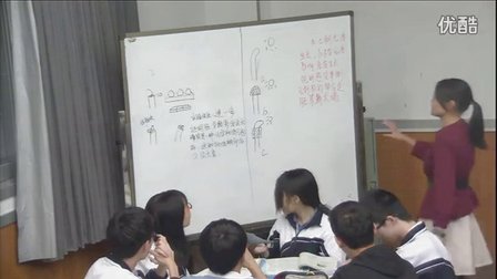 《植物生长素的发现》教学课例（人教版高二生物，深圳第二实验学校：高亚）