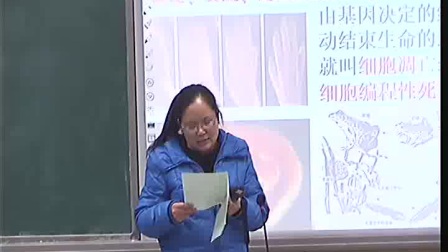 《细胞的衰老和凋亡》高一生物-登封市实验高中：齐艳珍