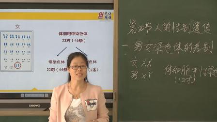 初中生物人教版八下《7.2 人的性别遗传》黑龙江郭琳