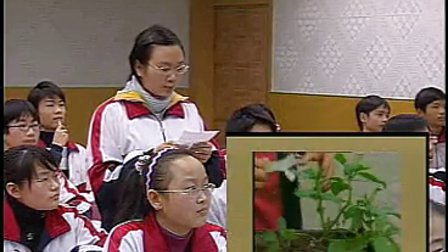 高中生物经典案例《光合作用》荆门一中