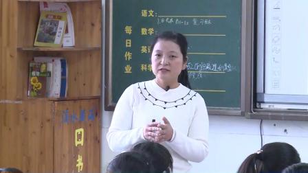 华师大版科学八下4.1《自然界的电现象》课堂教学视频实录-王美蓉