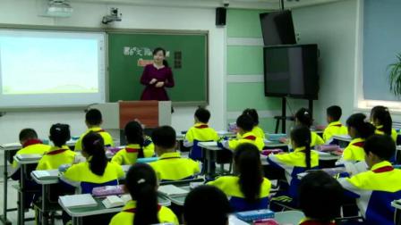 《语文园地七：识字加油站》部编版小学语文二下课堂实录-天津市_天津市_红桥区-徐骢