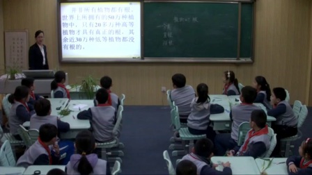 小学科学青岛版四上《植物的根》山东赵红梅
