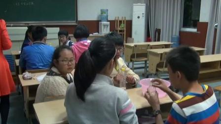 华师大版科学七下2.4《二氧化碳》课堂教学视频实录-胡维维