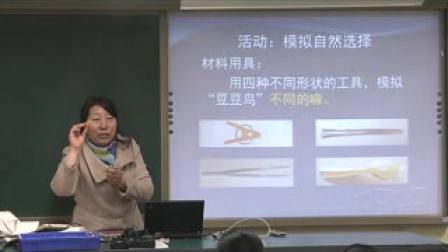 《生物进化的原因》教学实录（北师大版生物八下）