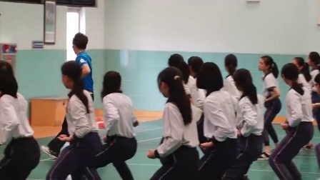 小学体育人教版五六年级《8.撩拳收抱》广东林曦