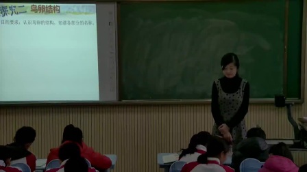 初中生物人教版八下《7.1 鸟的生殖和发育》山东刘秀