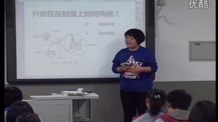 第五届电子白板大赛《神经调节》（浙教版生物高二，北京市西城外国语学校：潘宁）