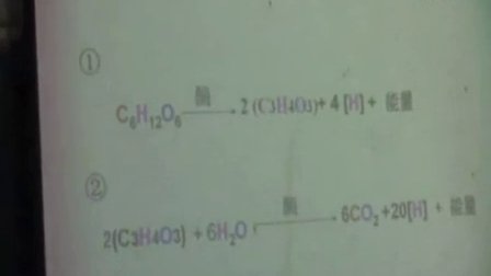 高中生物必修课《有氧呼吸与无氧呼吸》河北省,2014年度全国部级优课评选入围优质课教学视频