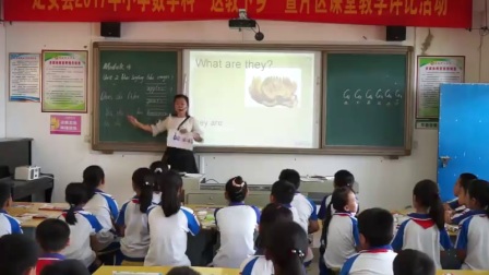 外研版(三起)小学英语三下Module4 Unit 2 Does Lingling like oranges-海南杨李