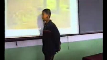 《思想的活跃与百家争鸣》北师大版历史八年级-刘应洁