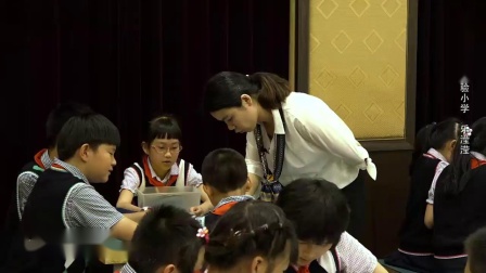 教科版小学科学四上《各种各样的岩石》课堂教学视频实录-乐滢滢