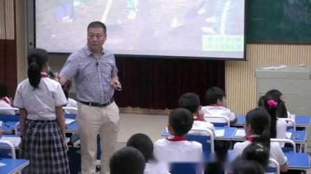 《习作》人教版小学语文五下课堂实录-广东广州市_黄埔区-李悦新