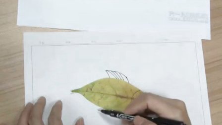 2015优质课视频《神奇的树叶》小学美术岭南版一年级-深圳-沙河小学：郭志良