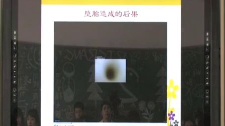 《青春红绿灯》教学课例（高一心理健康，深圳市第一职业技术学校：黄燕娜）