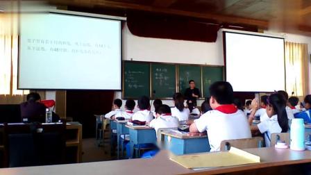 《鸡兔同笼》小学数学名师优质课视频-朱国荣