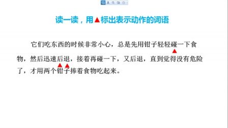 2016年微课评比一等奖获奖作品《小虾》（北师大版语文三下，吴梅丹）