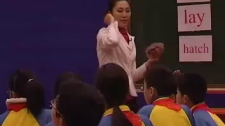 第4届全国小学英语优质课大赛获奖视频-18.Penguins 新疆-冯应秀