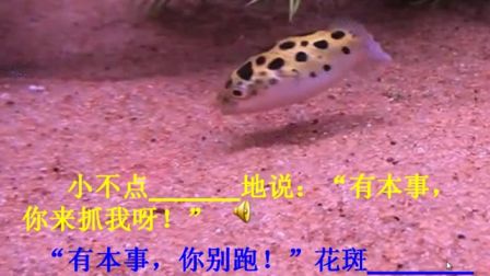 2016年微课评比特等奖获奖作品《如何把提示语写精彩》（小学语文，魏丽）