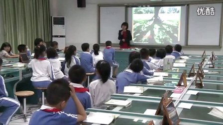 小学语文二年级《要是你在野外迷了路》教学视频,深圳新媒体应用大赛获奖视频