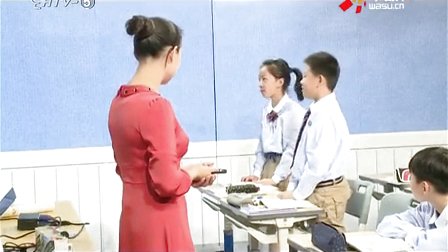 初中英语《Unit 6 Do you like bananas？(Section B 2a~2c)》名师公开课教学视频-杨志琴