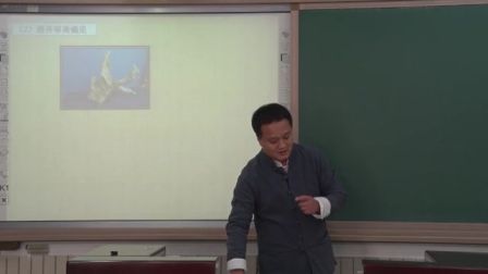 《根艺》说课 北京周林（北京市首届中小学青年教师教学说课大赛）